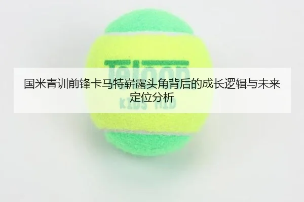 国米青训前锋卡马特崭露头角背后的成长逻辑与未来定位分析