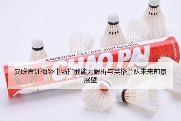 img_1780688670570_183_1_689.jpg